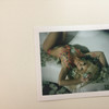 Aubrey Kate photos [OnlyFans.com] thumbnail