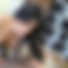 HD