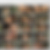 WhopperLesbians.com (RealityGang.com)/Thumbnails