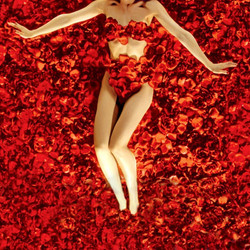 American.Beauty.1999.1080p.BluRay.x264-OFT