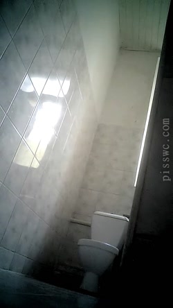 Pisswc-Toilet-3/241.avi