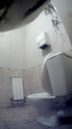 Pisswc-Toilet-3/236.avi