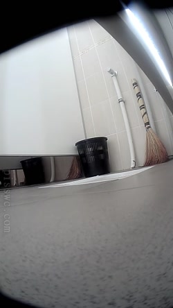 Pisswc-Toilet-3/222.avi