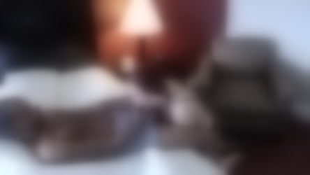 1252.mp4