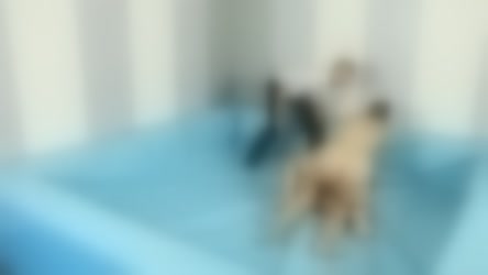 139040.mp4