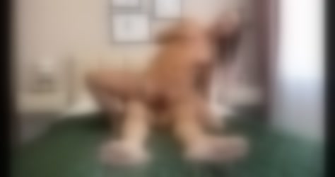 388207.mp4