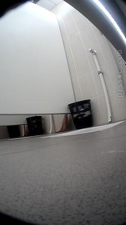 Pisswc-Toilet-3/218.avi