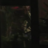 Window Voyeur thumbnail