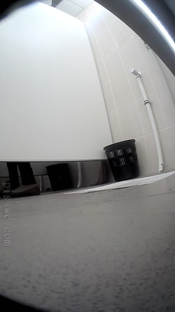 Pisswc-Toilet-3/238.avi