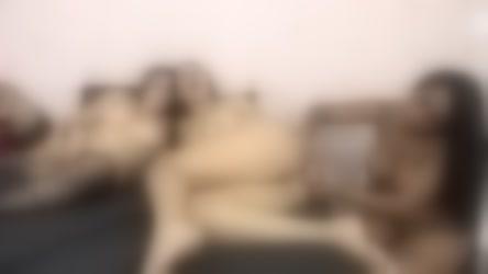 382049.mp4