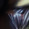 Calea Toxic H265 thumbnail