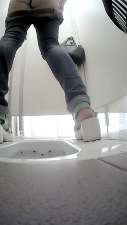 Pisswc-Toilet-3/231.avi